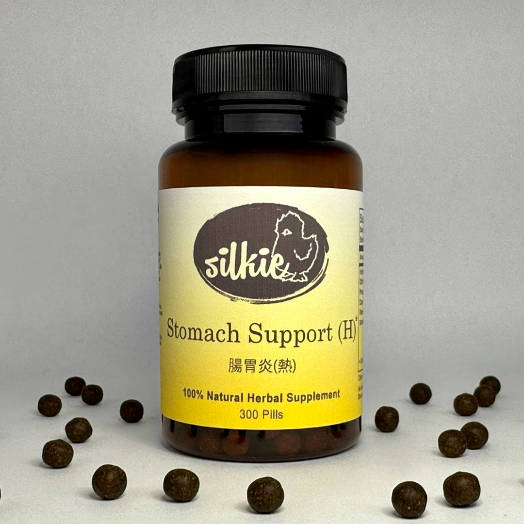 Stomach Support (H) - gastroenteritis, excessive pooping 腸胃炎(熱)