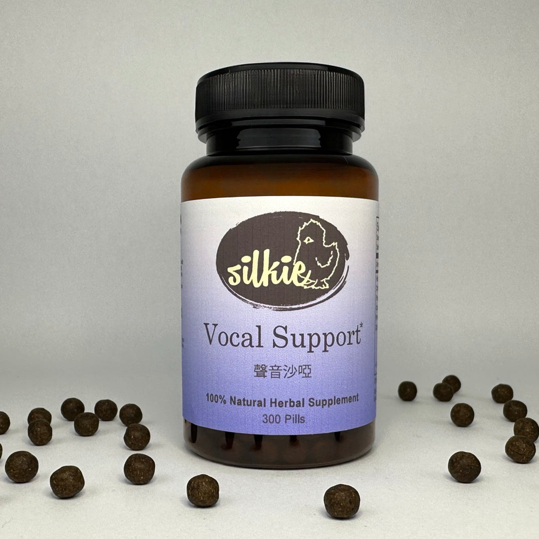 Vocal Support - hoarseness of voice caused by irritation or injury to the vocal cords... 聲音沙啞