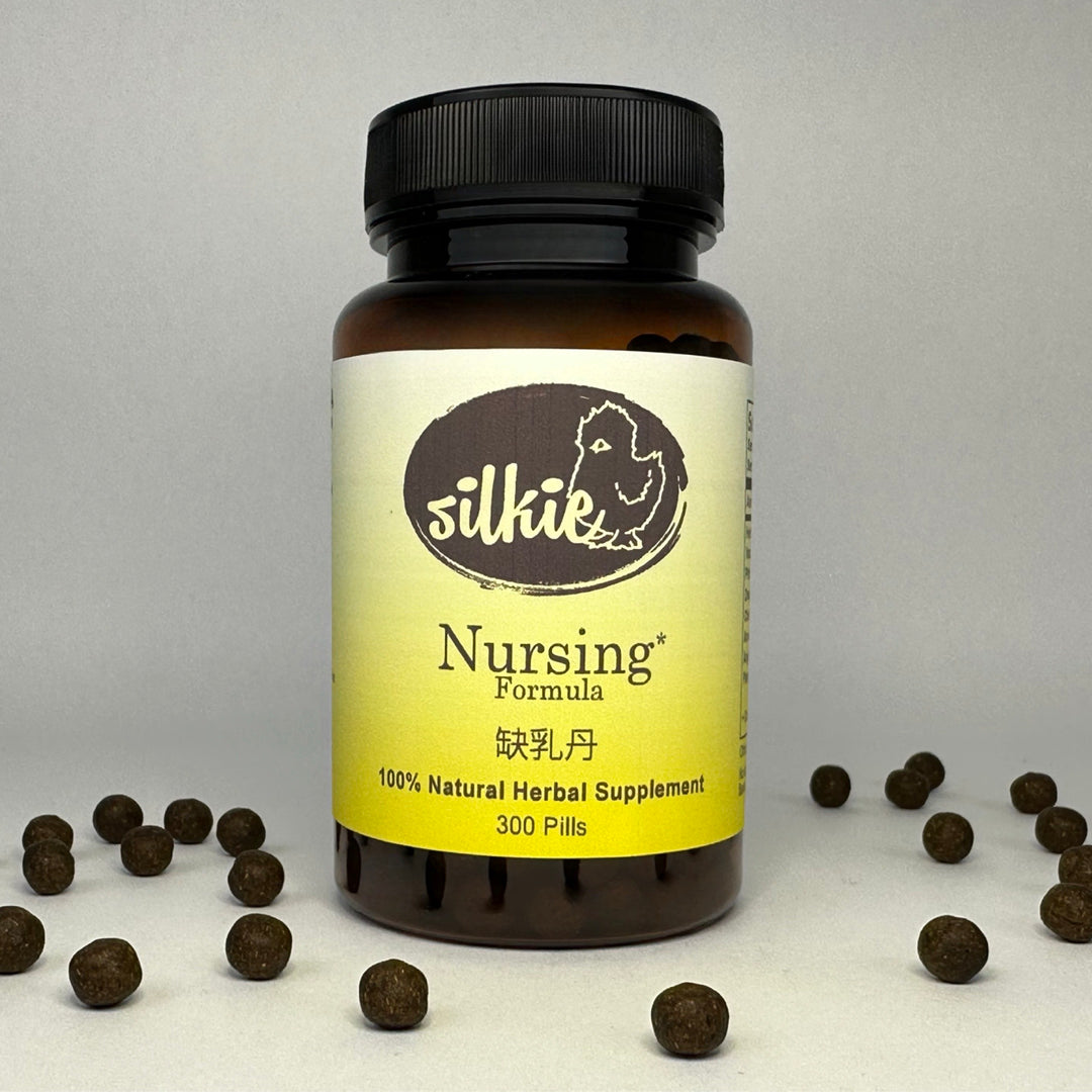 Nursing - little or no milk after giving birth... 缺乳丹
