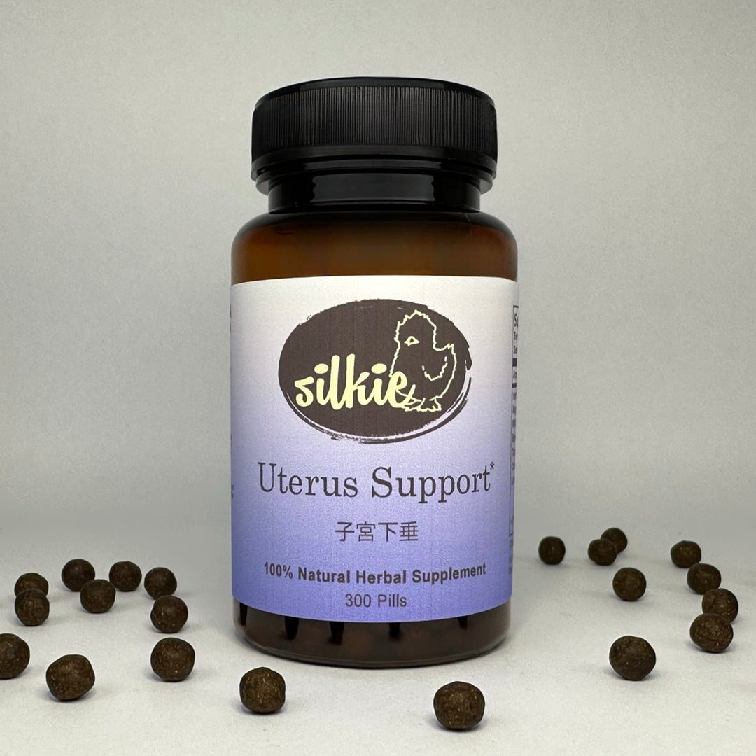 Uterus Support - uterine prolapsed... 子宫下垂