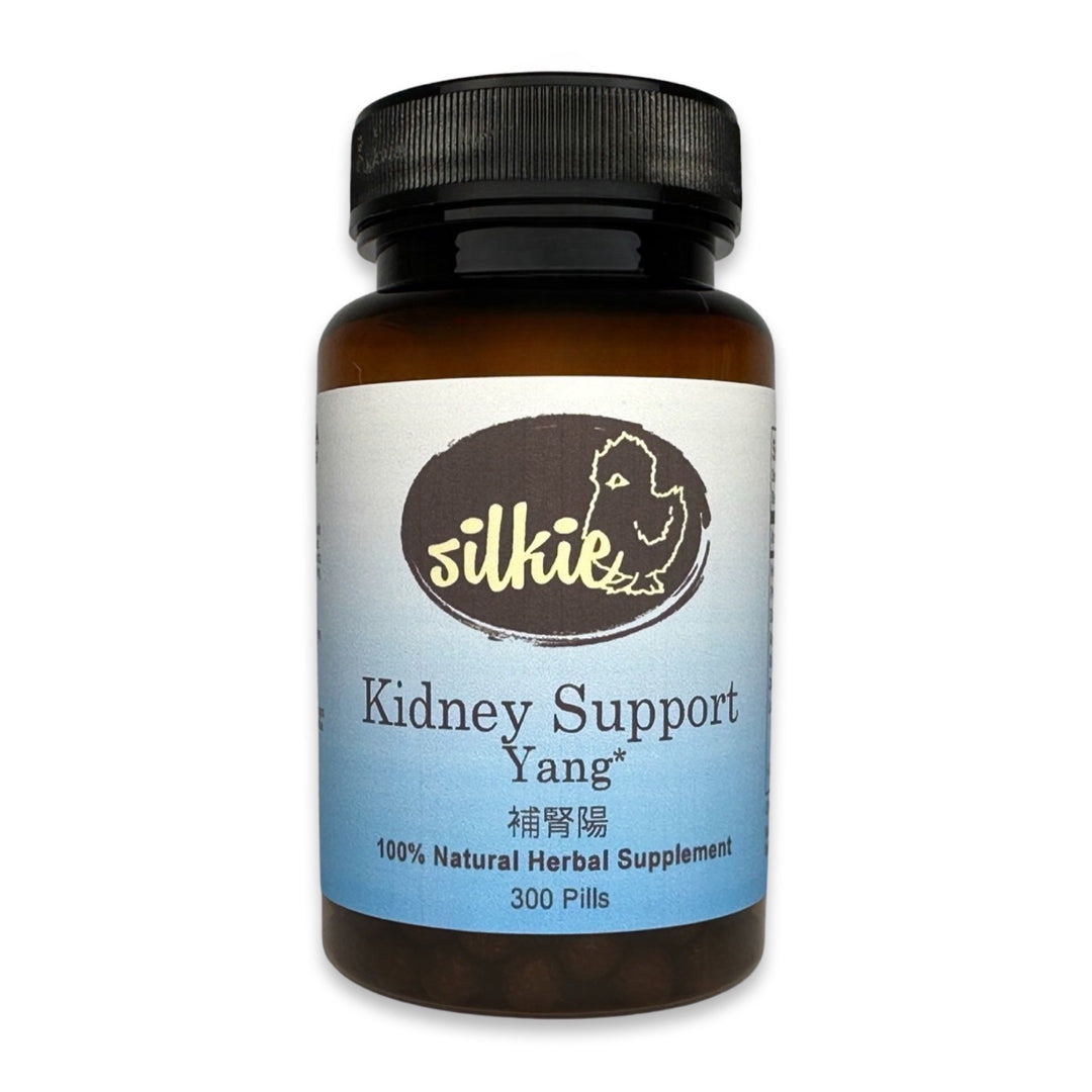 Kidney Support Yang - weak and brittle bones... 補腎陽