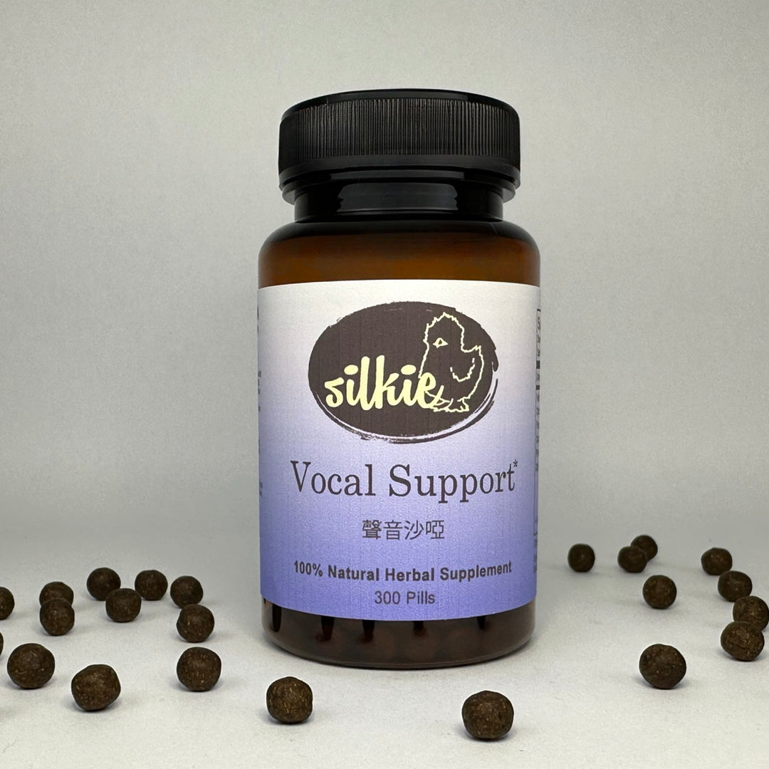 Vocal Support - hoarseness voice caused by irritation or injury to the vocal cords... 聲音沙啞